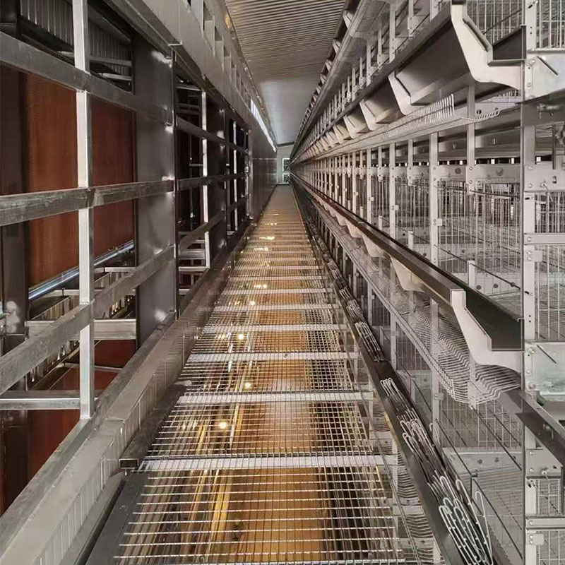 Sangkar Ayam Telur Berbentuk H dengan Sistem Pemberian Pakan Berantai 1