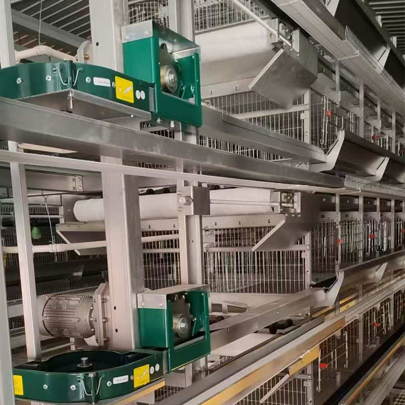 Kandang Ayam Telur Berbentuk H dengan Sistem Pemberian Pakan Berantai - Image 2