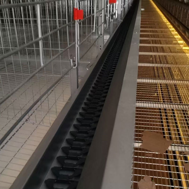 Kandang Ayam Telur Berbentuk H dengan Sistem Pemberian Pakan Berantai - Image 4