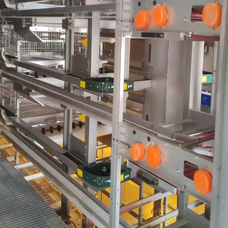 Kandang Ayam Telur Berbentuk H dengan Sistem Pemberian Pakan Berantai - Image 3